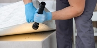Behandlung von Bettwanzen in Ismaning 85737