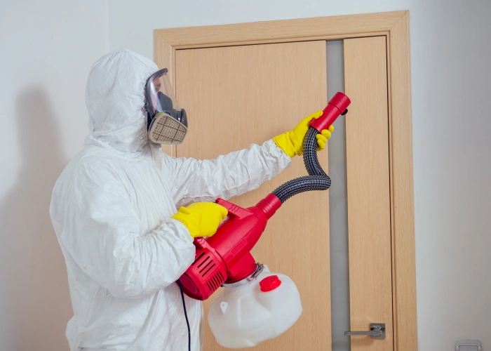 Behandlung von Bettwanzen in Brandenburg an der Havel 14770