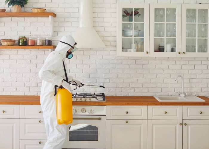 Behandlung von Bettwanzen in Eching 85386