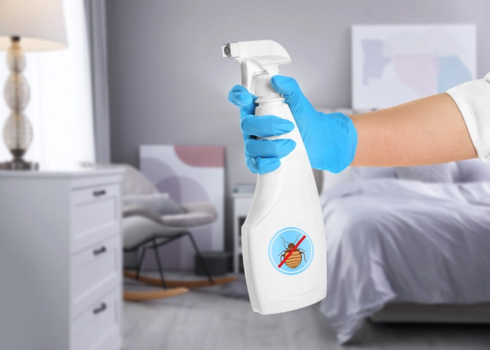 Behandlung von Bettwanzen in Coburg 96450