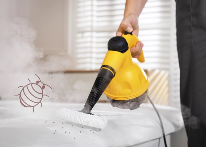 Behandlung von Bettwanzen in Bruckmühl 83052